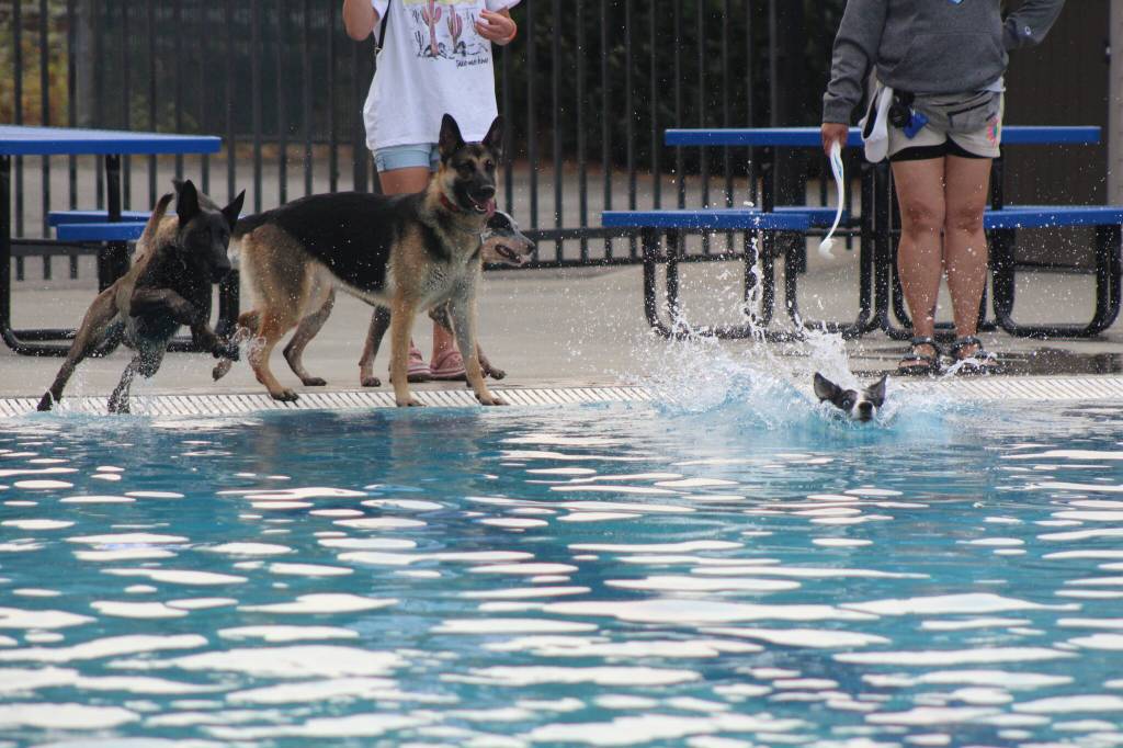 Photo by Bailey Jo Josie/Sound Publishing.