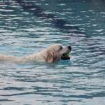 Photo by Bailey Jo Josie/Sound Publishing.