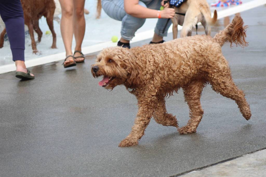 Photo by Bailey Jo Josie/Sound Publishing.