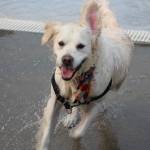 Photo by Bailey Jo Josie/Sound Publishing.