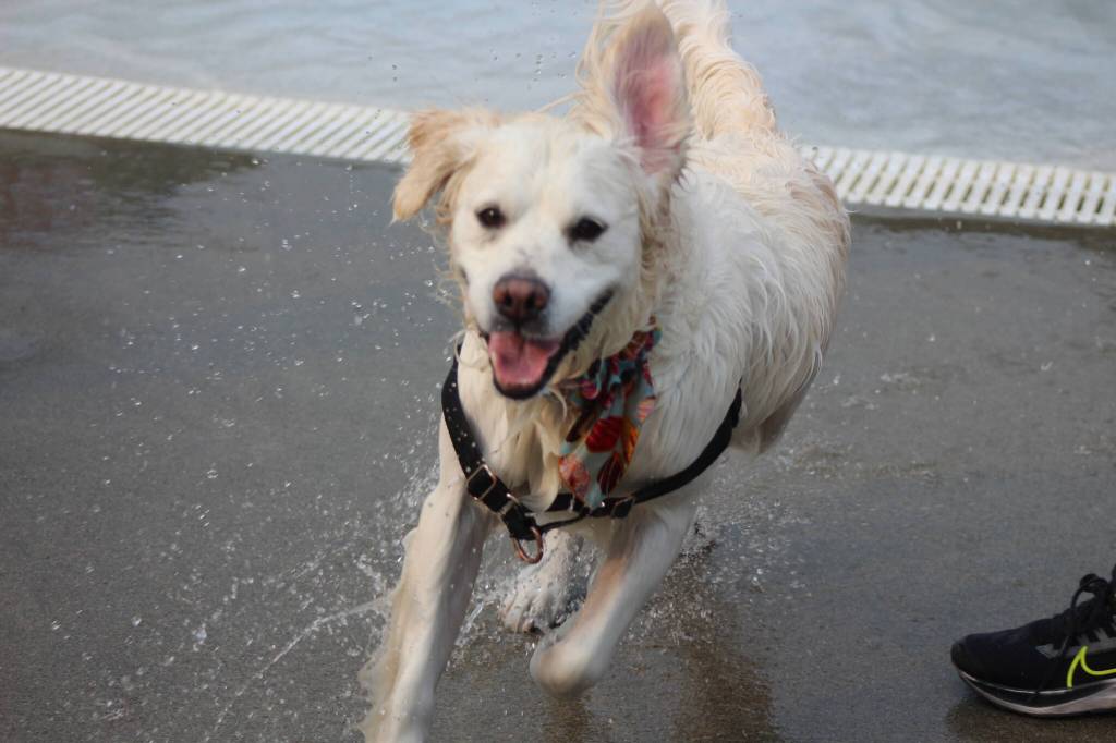 Photo by Bailey Jo Josie/Sound Publishing.