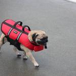 Photo by Bailey Jo Josie/Sound Publishing.