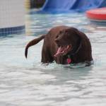 Photo by Bailey Jo Josie/Sound Publishing.