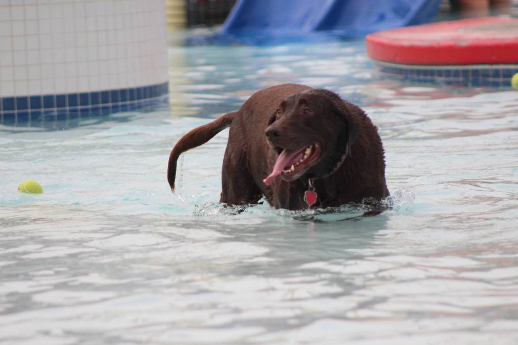 Photo by Bailey Jo Josie/Sound Publishing.