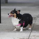 Photo by Bailey Jo Josie/Sound Publishing.