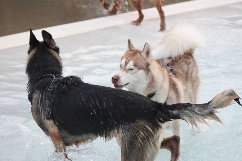 Photo by Bailey Jo Josie/Sound Publishing.