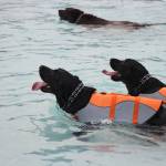 Photo by Bailey Jo Josie/Sound Publishing.