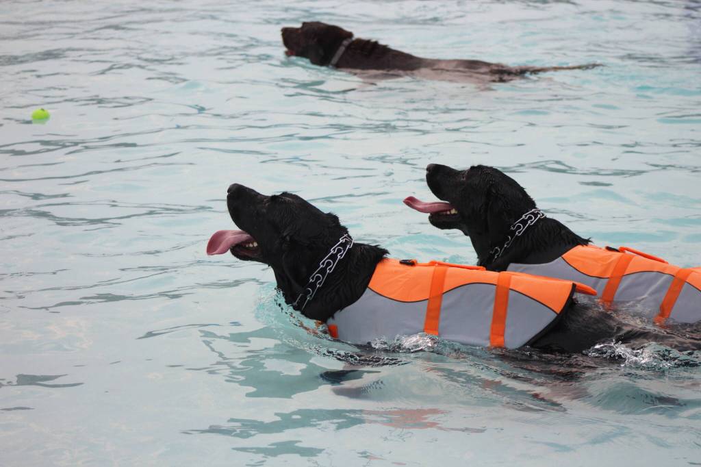 Photo by Bailey Jo Josie/Sound Publishing.