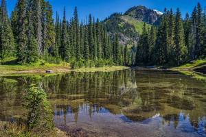 Photo courtesy of Rich Border
The newly-renamed Kiya Lake, located on Mt. Rainiers Wonderland Trail.