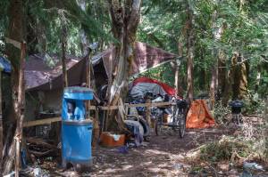 Homeless encampments like this one in Auburn can be found throughout King County. File photo