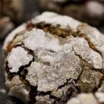 Thick Black Sesame and Miso Crinkle Cookies for the Holidays (Courtesy of Kat Lieu)