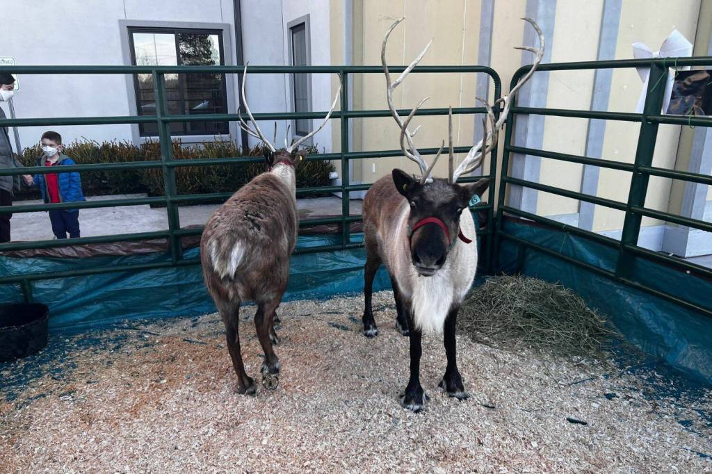 (Cameron Sheppard/Sound Publishing, Inc.)