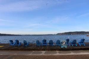 Lake Washington in Renton. Bailey Jo Josie / the Reporter