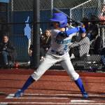 Malia Suehiro up to bat for the Patriots. Ben Ray / The Reporter