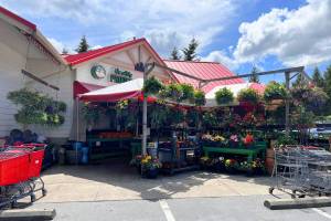 Top of the Hill Quality Produce & Meats (Cameron Sheppard)