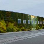 Courtesy of Cheryl Danza