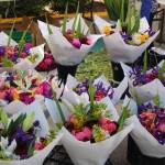 Photo by Bailey Jo Josie/Sound Publishing.