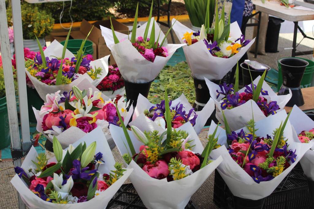 Photo by Bailey Jo Josie/Sound Publishing.