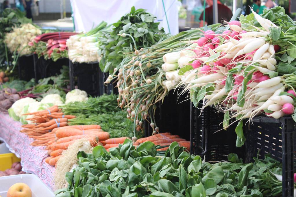 Photo by Bailey Jo Josie/Sound Publishing.