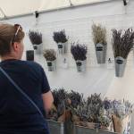 Photo by Bailey Jo Josie/Sound Publishing.