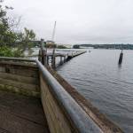 Overlook of Lake Washington at Gene Coulon Park in Renton.