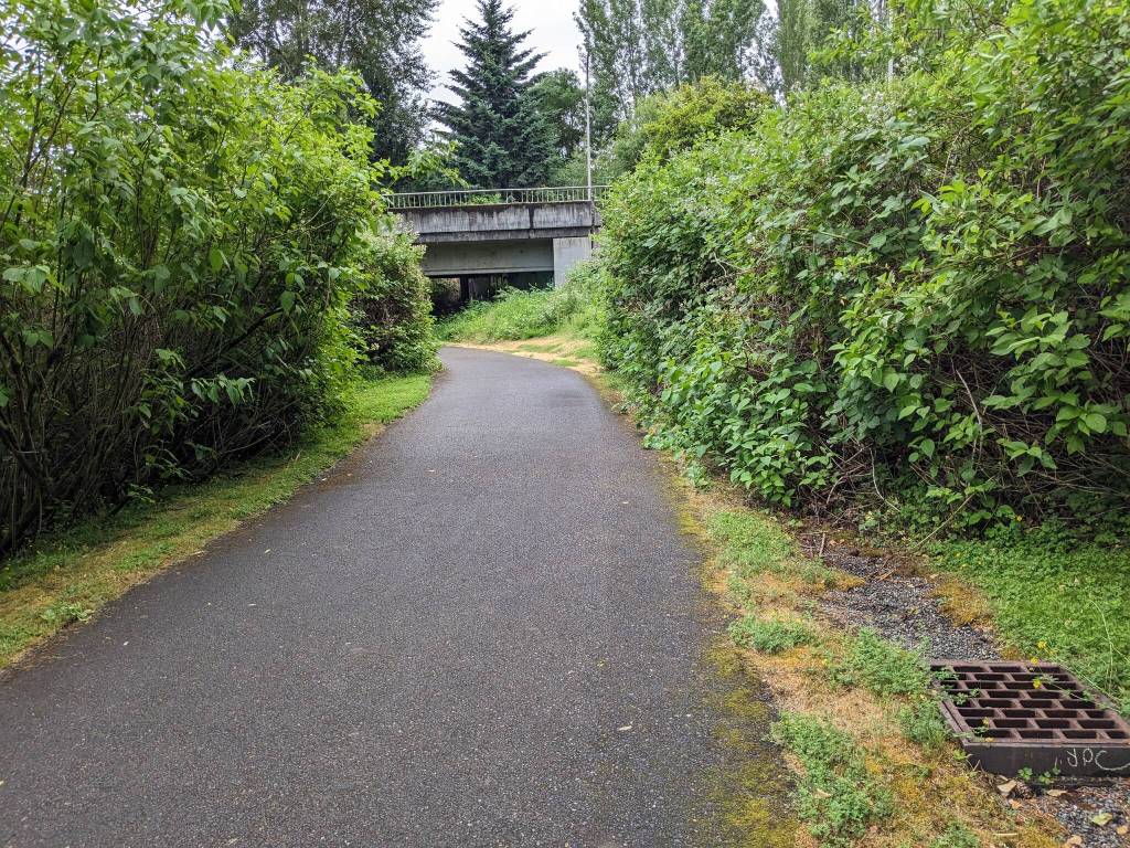 Springbrook Trail is ripe with lush green foliage all along the trail. Ben Ray/ The Reporter