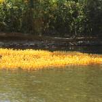 Photos by Bailey Jo Josie/Sound Publishing