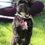 Photos by Bailey Jo Josie/Sound Publishing