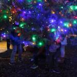As soon as the Christmas tree was lit, children ran beneath the tree to play under the lights. Photo by Bailey Jo Josie/Sound Publishing.