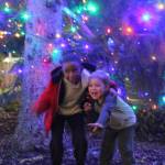 Two boys pose for a photo under the Renton Christmas tree in Piazza Park. Photo by Bailey Jo Josie/Sound Publishing.