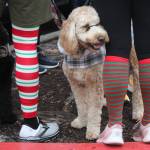 Photo by Bailey Jo Josie/Sound Publishing.