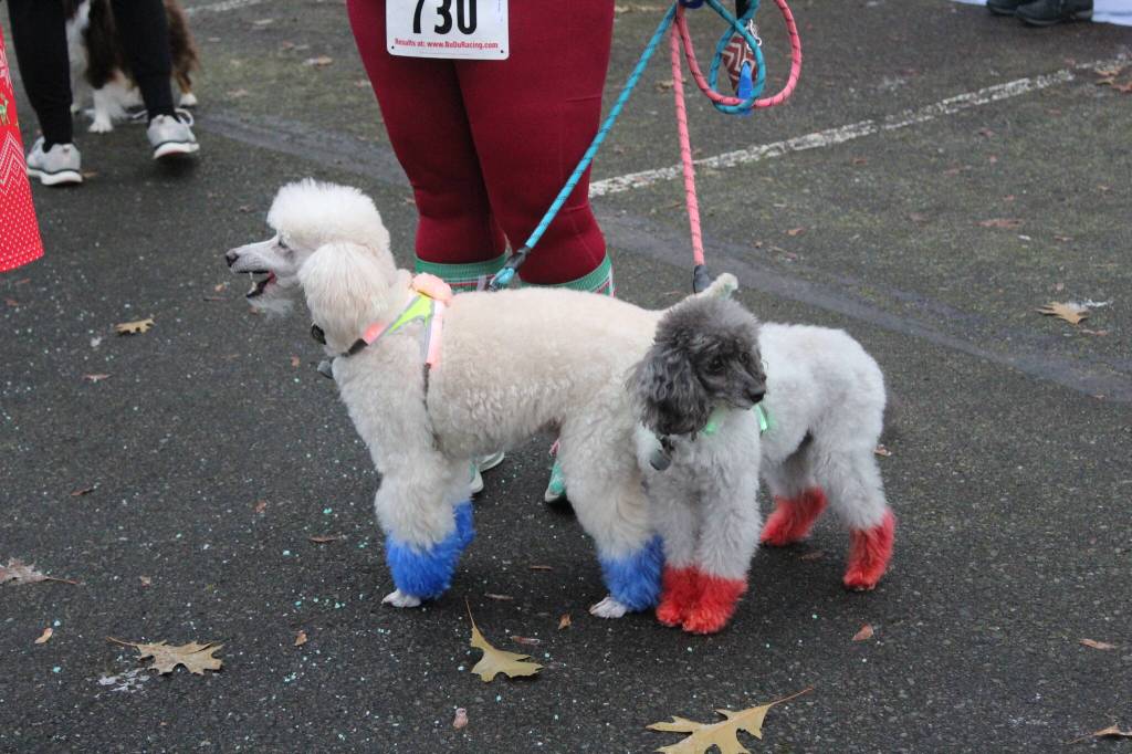 Photo by Bailey Jo Josie/Sound Publishing.