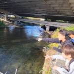 Photo courtesy of Carolyn Colley.
Students look for salmon in the Cedar River in October 2022.