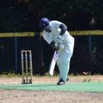 Arpit Bhagat up to bat for Mavericks at the Kent Cricket Ground. (Ben Ray/Sound Publishing)