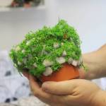 Photo by Bailey Jo Josie/Sound Publishing.