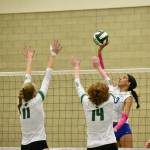 Kendreah Beazer taps the ball over the outstretched arms of the Bears. Ben Ray / The Reporter