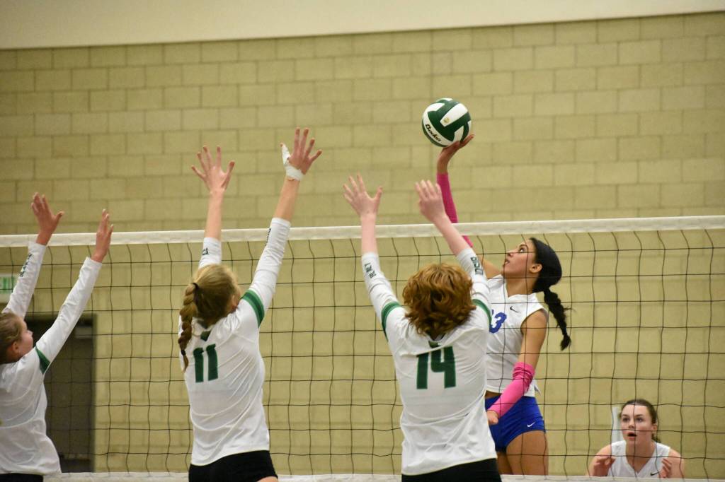 Kendreah Beazer taps the ball over the outstretched arms of the Bears. Ben Ray / The Reporter