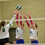 Layne Ford (right) and Maiya Lester team up for a block against the Bears. Ben Ray / The Reporter