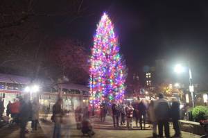 Photos by Bailey Jo Josie/Sound Publishing