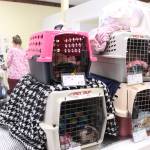 In the recovery area of the clinic, sleeping cats are put in their carriers and wrapped in blankets. Bailey Jo Josie/Renton Reporter