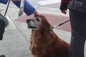 Photo by Bailey Jo Josie/Sound Publishing.