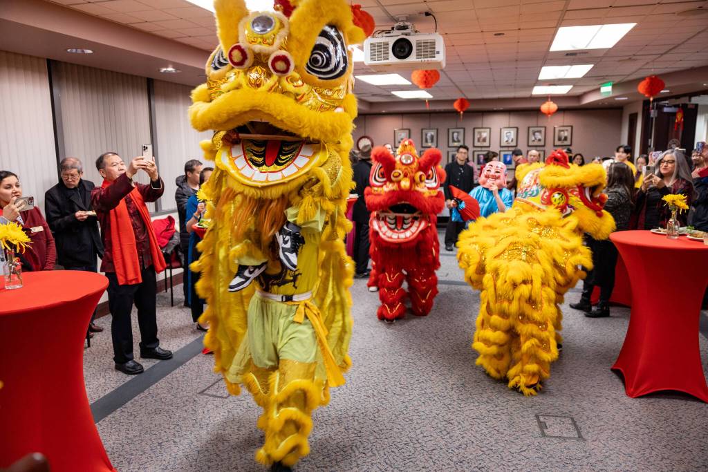 Chinese Lion dancers will consist of two dancers, one operating the head and one operating the body. Photo courtesy of the City of Renton.