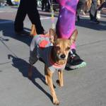 Photo by Bailey Jo Josie/Sound Publishing.