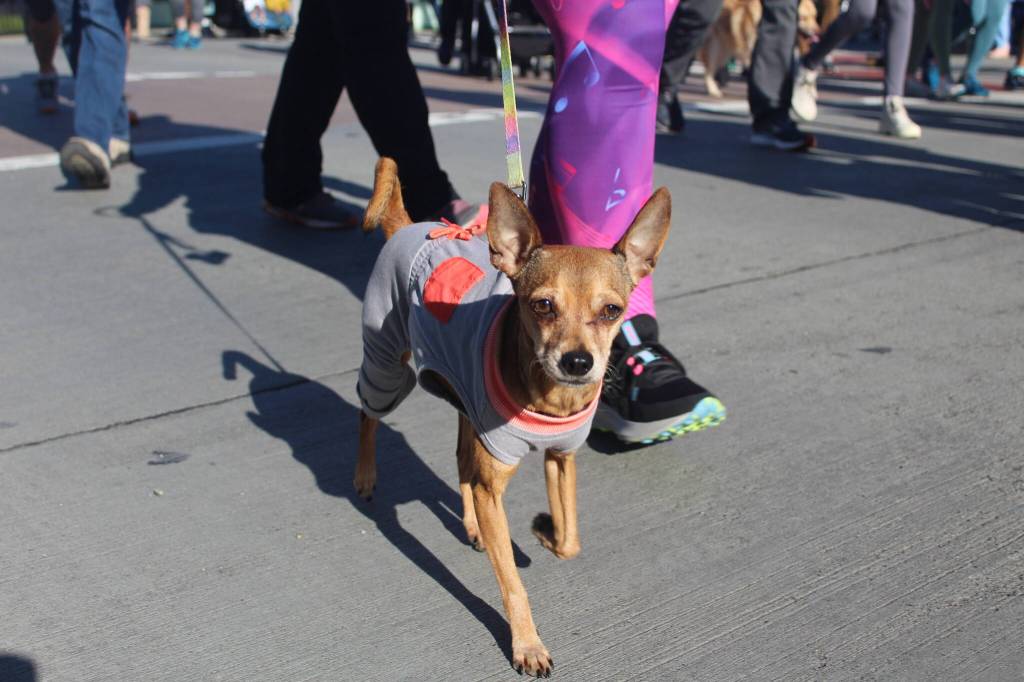 Photo by Bailey Jo Josie/Sound Publishing.