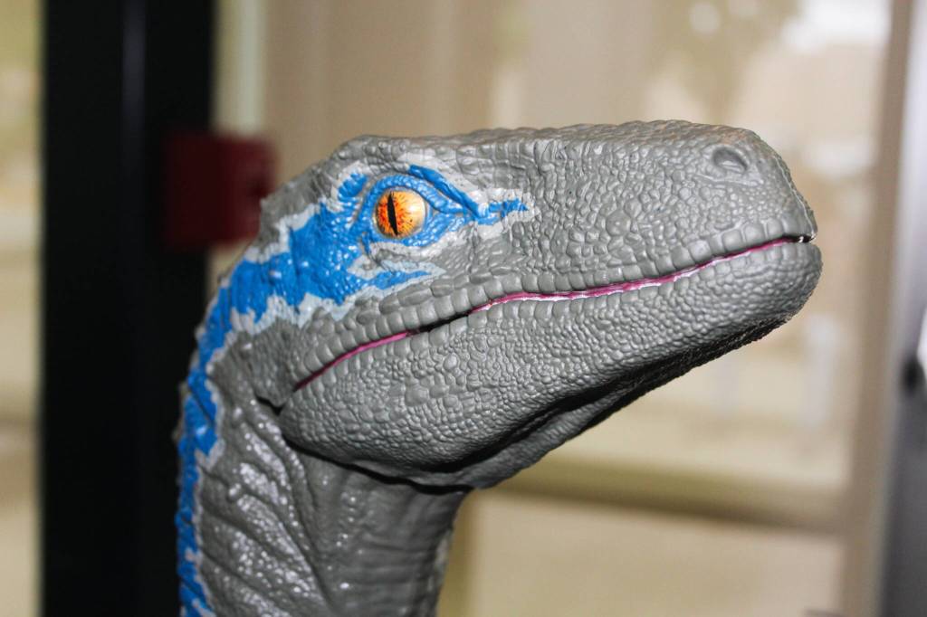 Photo by Bailey Jo Josie/Sound Publishing.