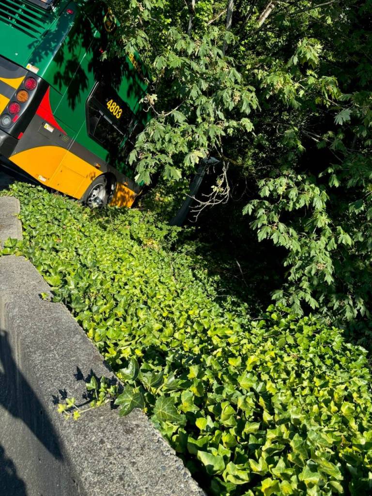 (Courtesy of the Renton Police Department)