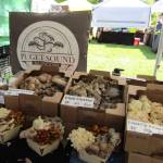 Mushrooms sold at the Renton Farmers Market. Photos by Annika Hauer