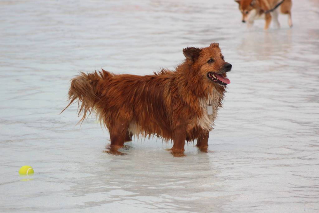 Photo by Bailey Jo Josie/Sound Publishing.