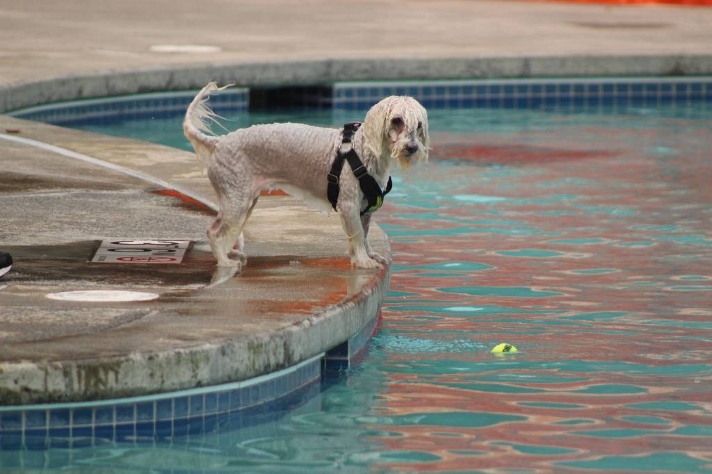 Photo by Bailey Jo Josie/Sound Publishing.