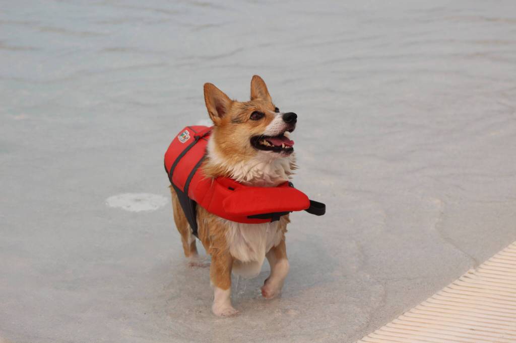 Photo by Bailey Jo Josie/Sound Publishing.